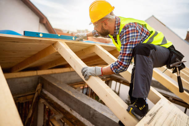 Best Roof Maintenance Services  in Leadville, CO