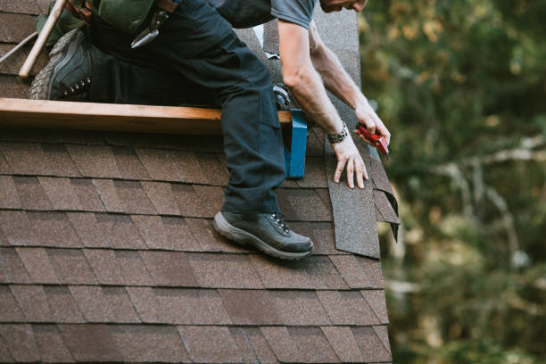 Best Roof Gutter Cleaning  in Leadville, CO